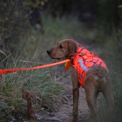 Gilet protettivo per cani - defender 2.0