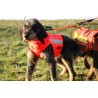 Gilet protettivo per cani - protect eco